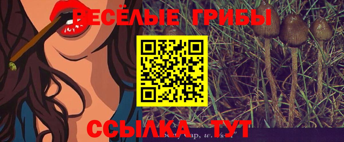 Галлюциногенные грибы MAGIC MUSHROOMS Торжок